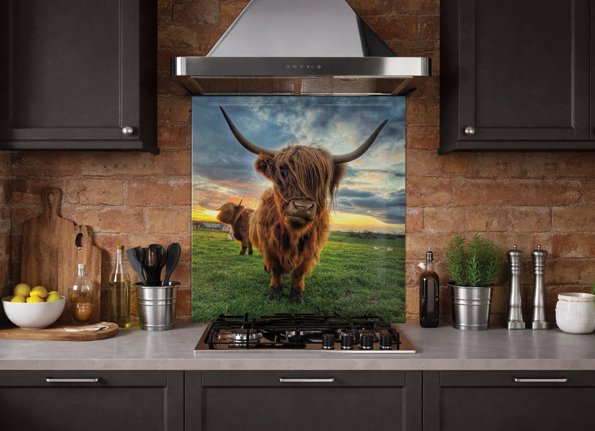 Printed Glass Kitchen Highland Cow Splashback