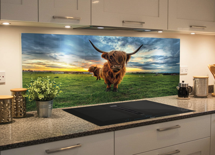 Printed Glass Kitchen Highland Cow Splashback