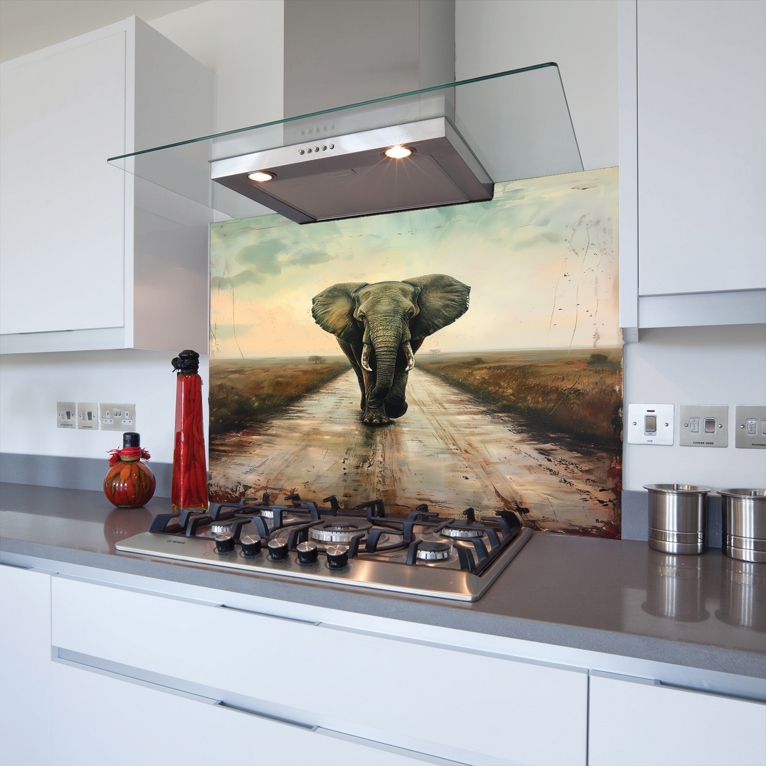 Printed Glass Kitchen Splashback Elephant in the Road