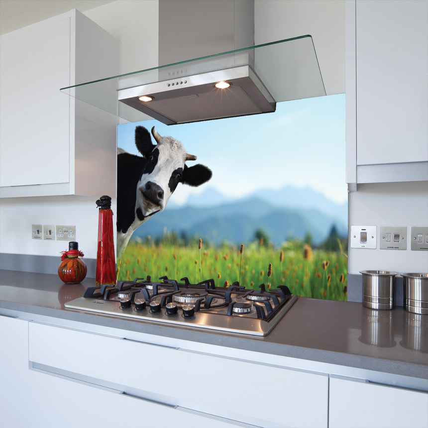 Printed Glass Kitchen Splashback Watching Cow