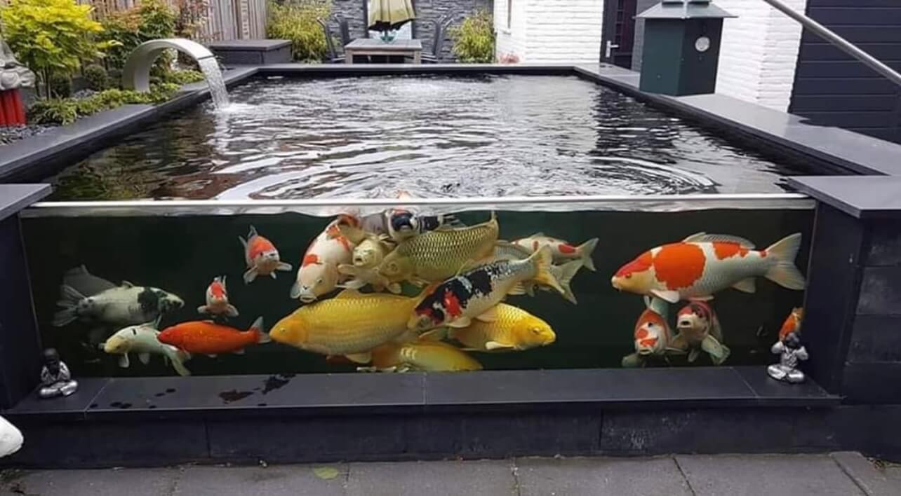 39mm pond glass window