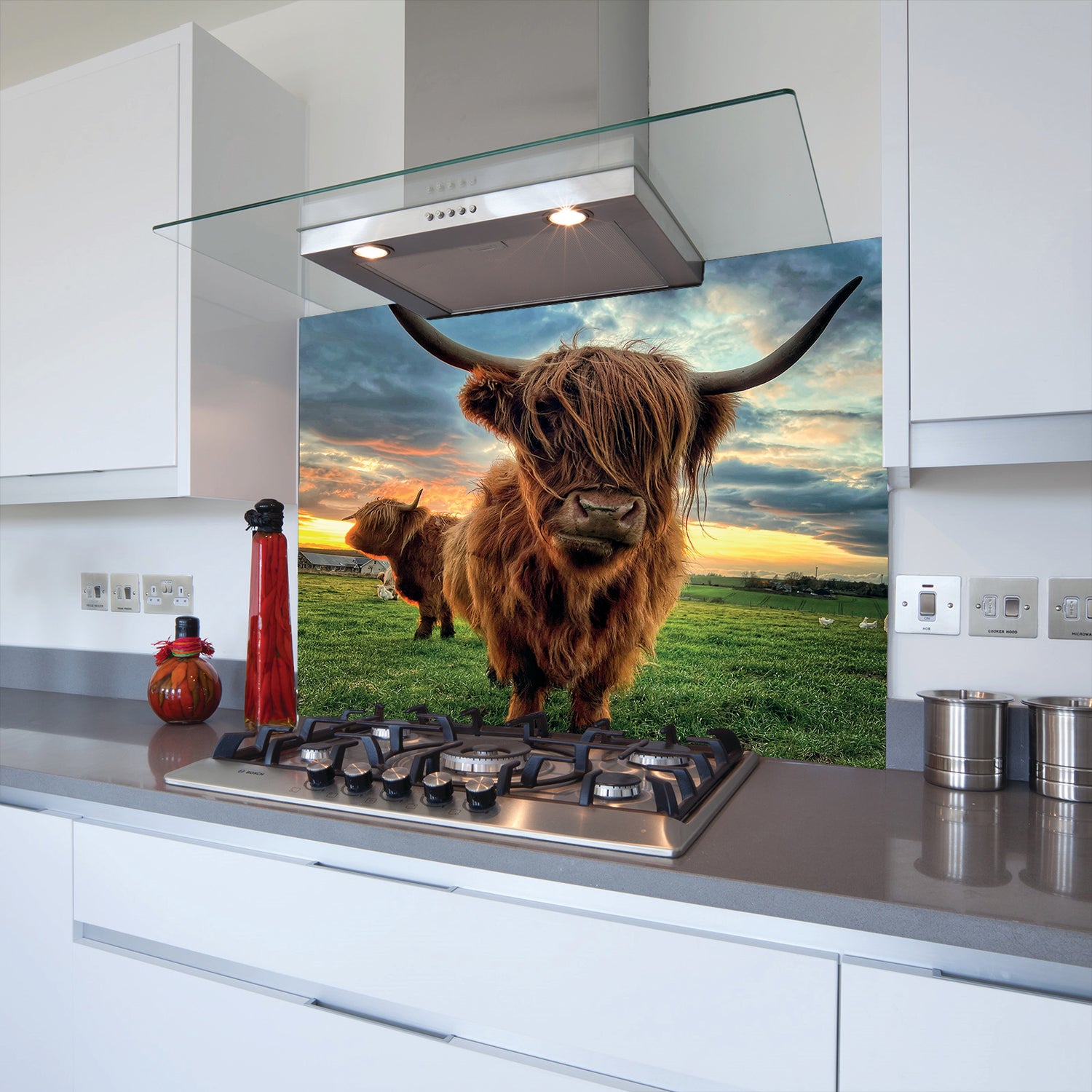 toughened highland cow splashback printed above hob