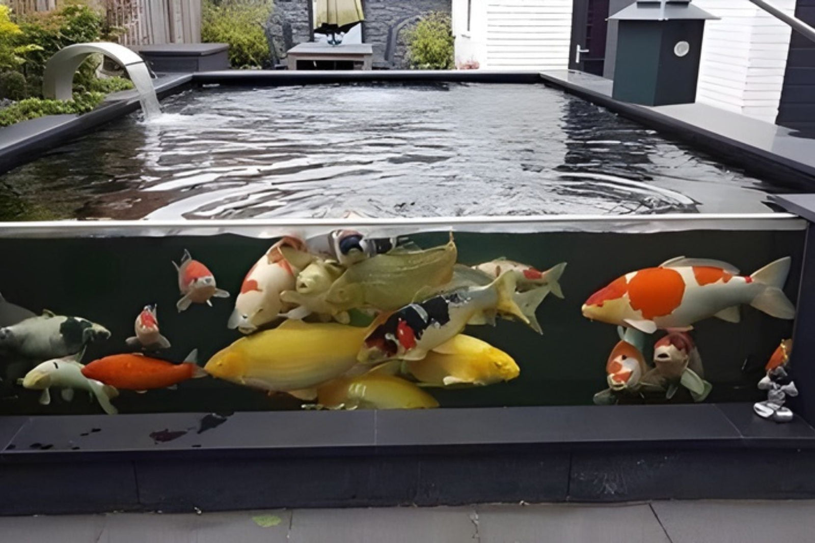 How Much Does a Koi Pond Glass Window Cost in the UK