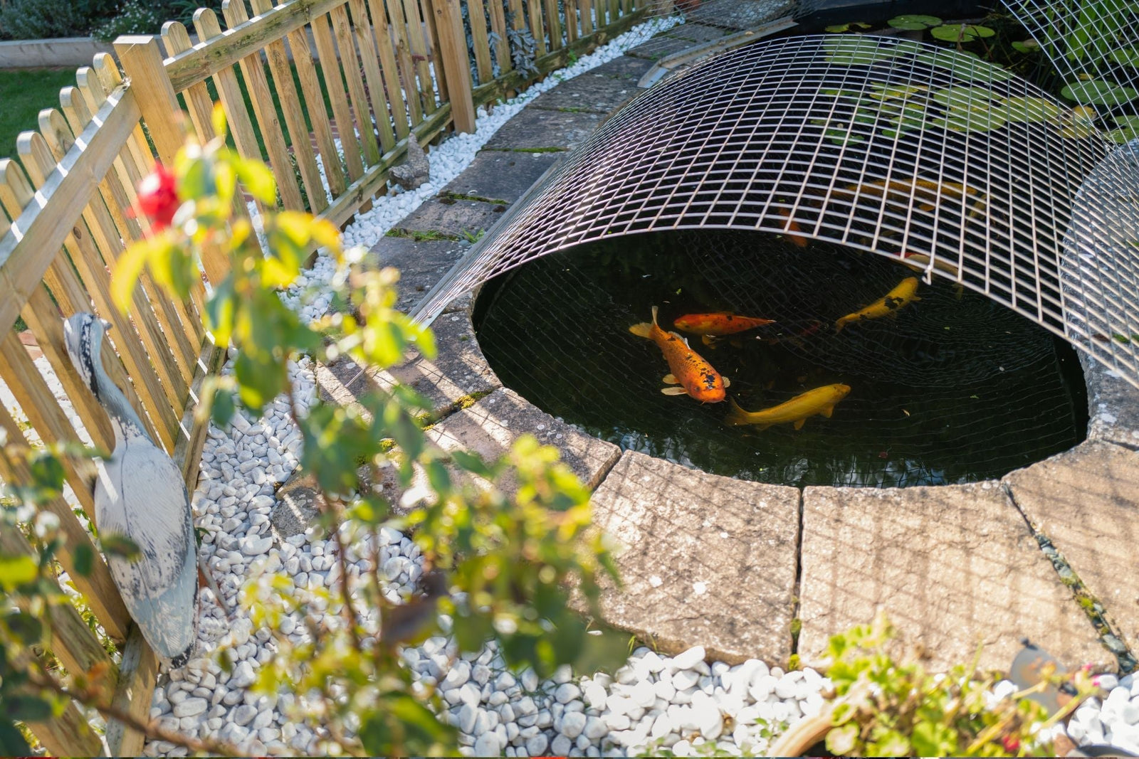 Pond jump guards vs netting
