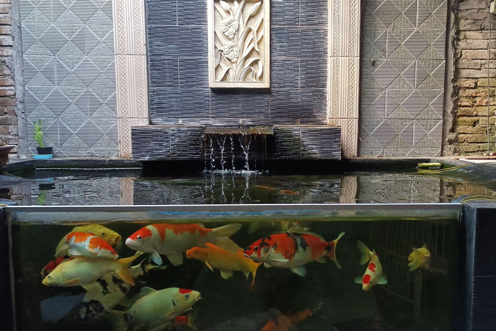 what-type-of-glass-is-used-for-pond-windows