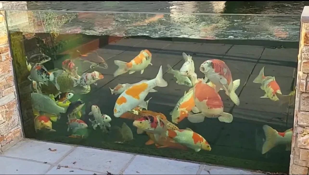 low iron pond glass