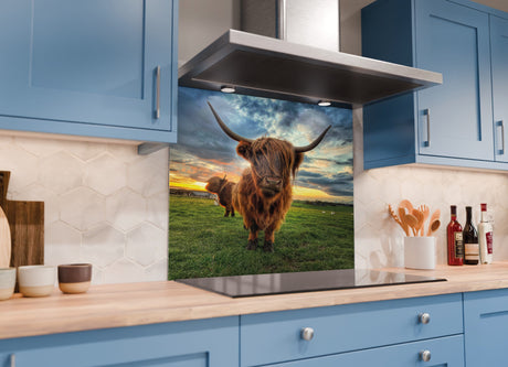 Printed Glass Kitchen Highland Cow Splashback