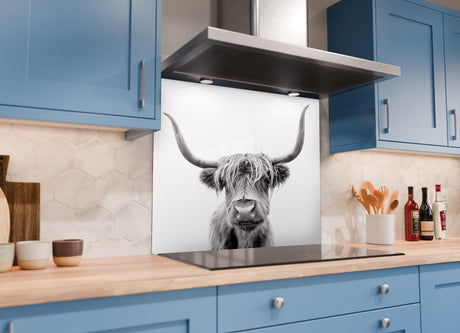 Printed Glass Kitchen Grey Highland Cow Splashback