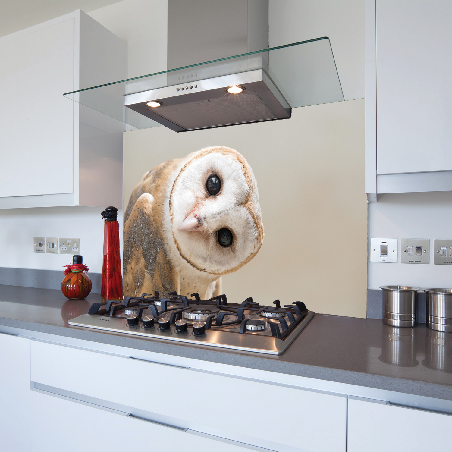 Printed Glass Kitchen Splashback Watching Owl