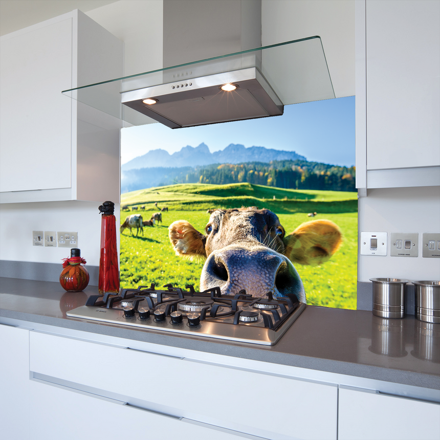 Printed Glass Kitchen Splashback Cow Close Up V2