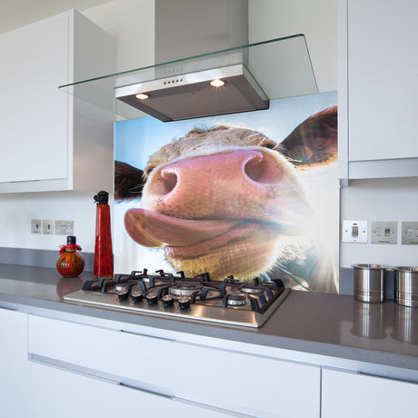 A cow lick kitchen splashback made from toughened glass cut to aize
