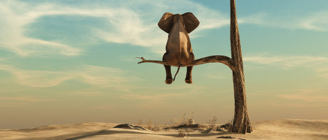 Kitchen splashback elephant on a tree