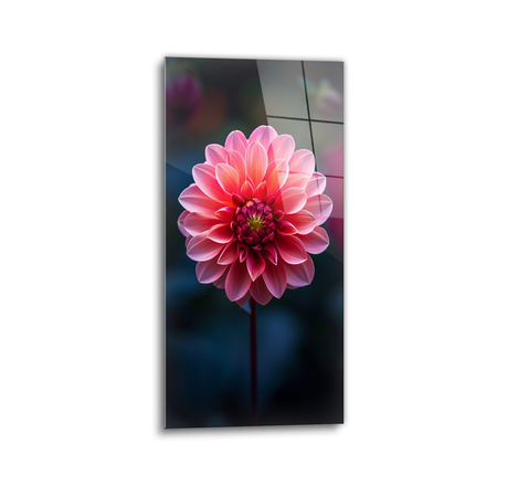 Pink dahlia glass wall art
