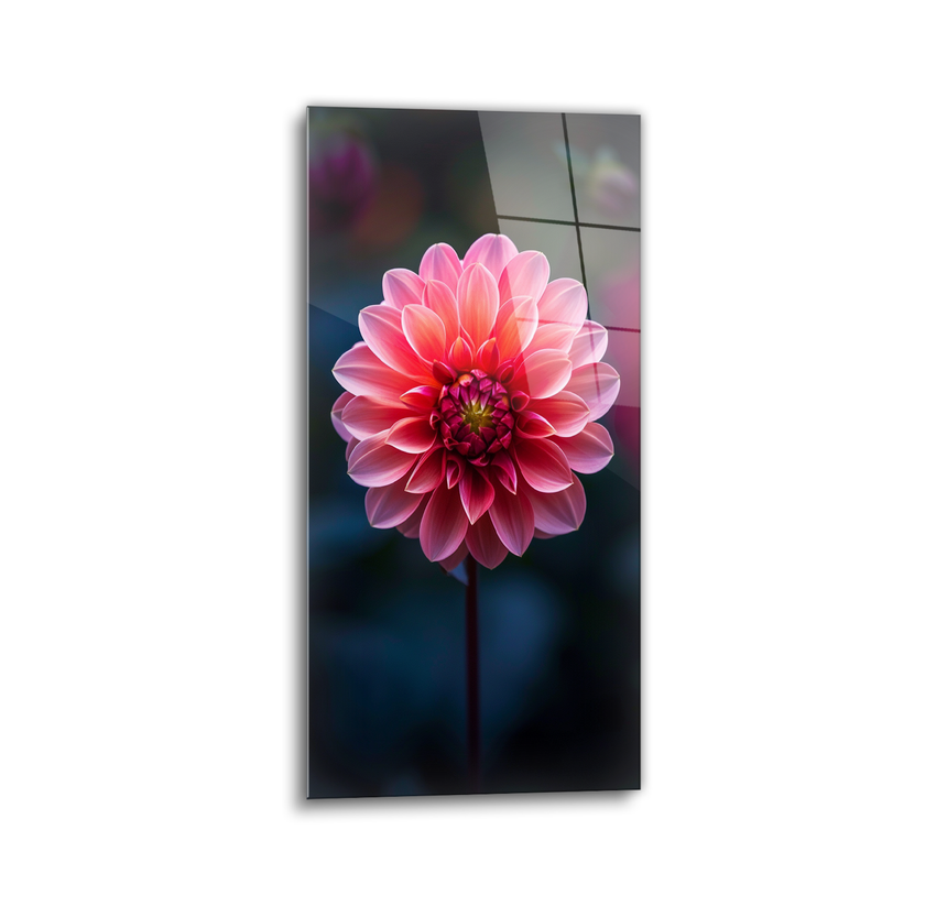 Pink dahlia glass wall art