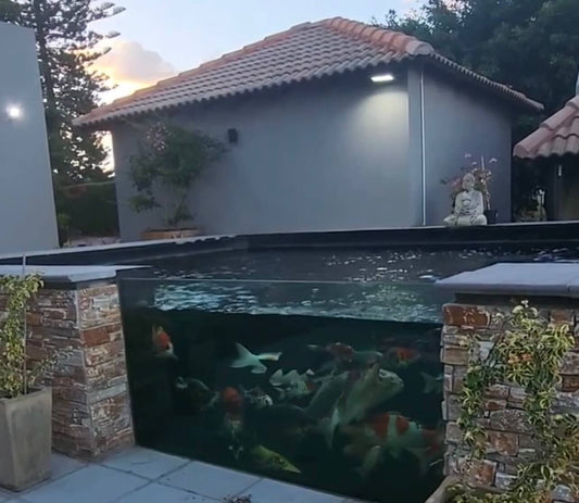 pond glass window 25.5mm toughened glass