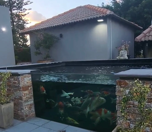 pond window glass 21mm