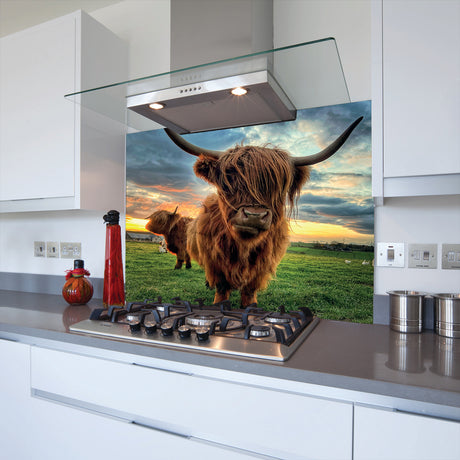 toughened highland cow splashback printed above hob
