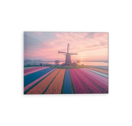 Tulip field glass wall art